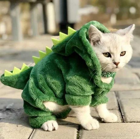 Ubranka dla zwierząt Kot Dinozaur Kostium Rozmiar L