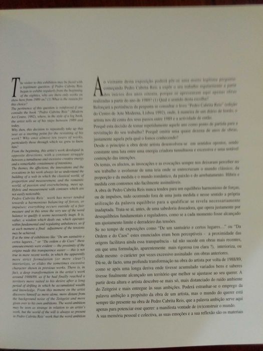 Pedro Cabrita Reis - Contra a claridade