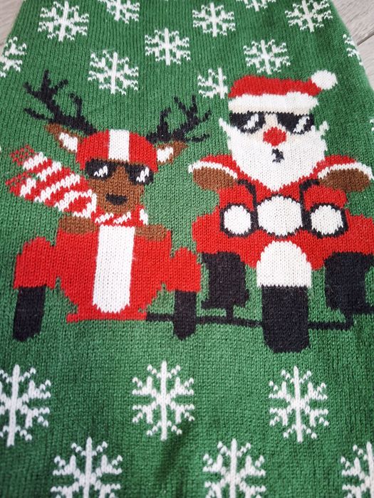 Одяг для собаки новорічний