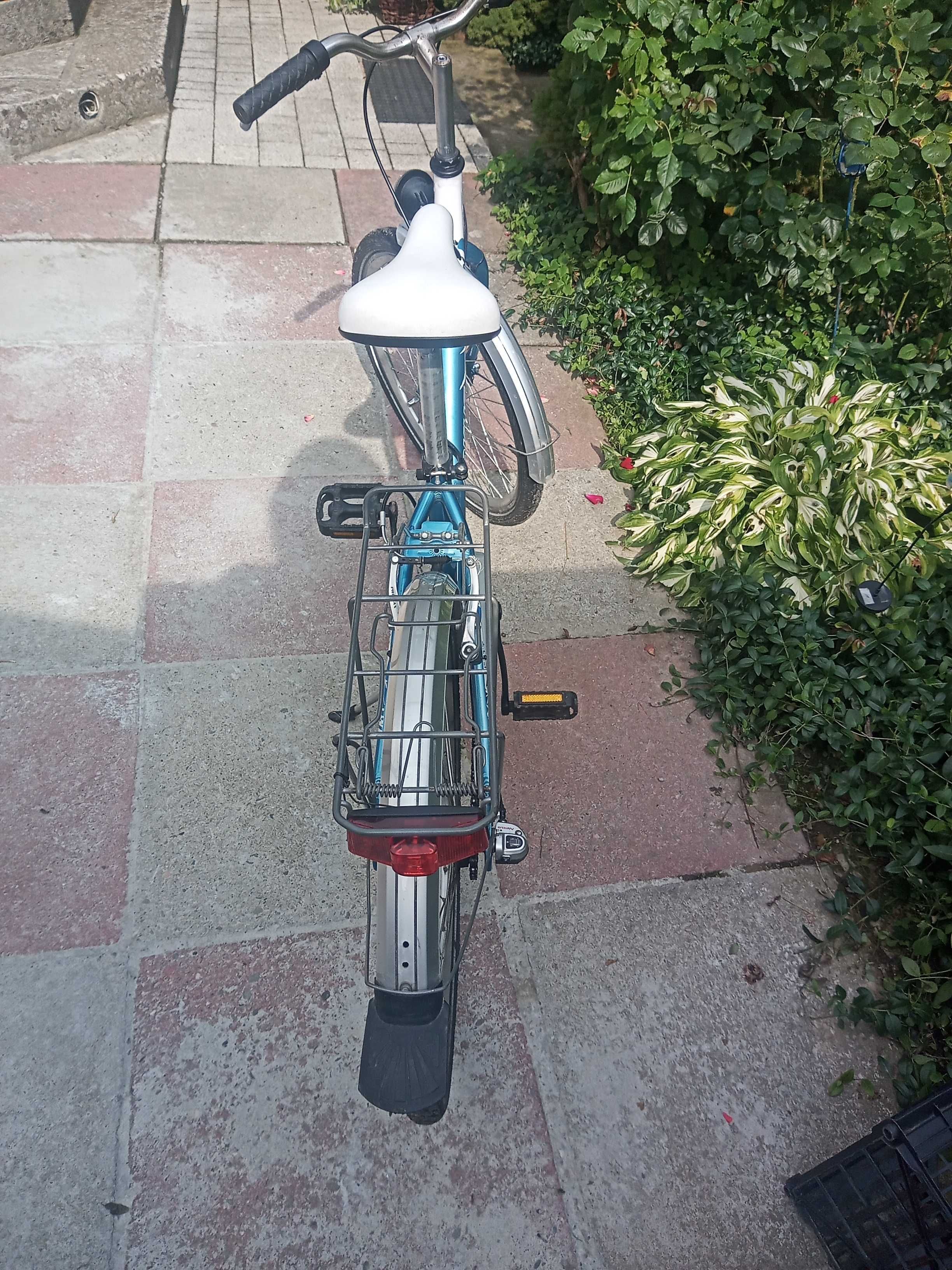 rower Arkus Panda City