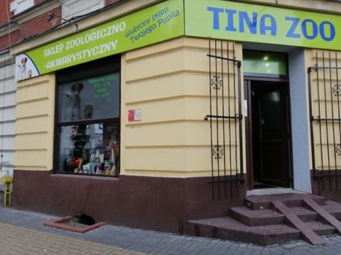 Neon simulans - TINA ZOO  Gliwice Witkiewicza