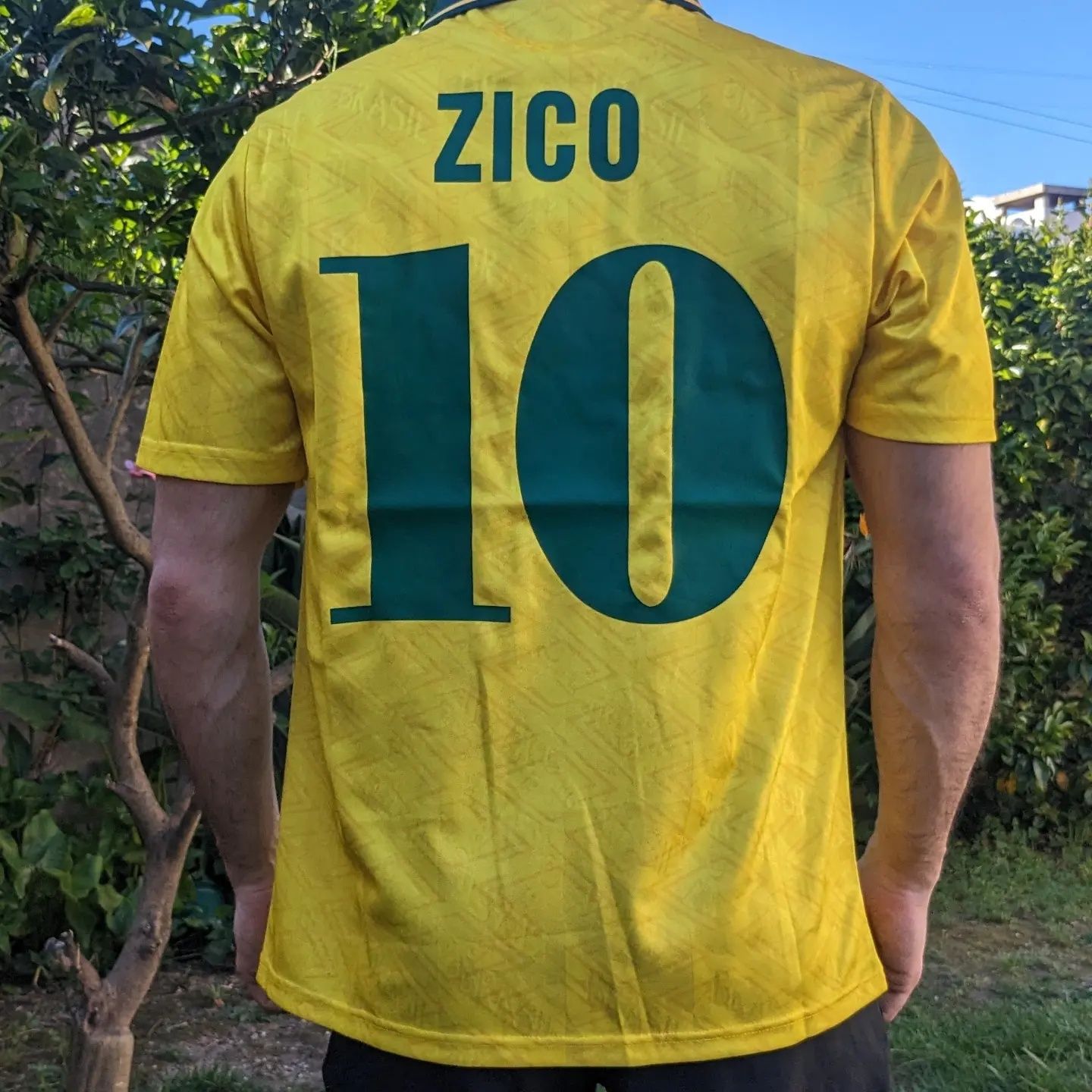 Camisola Brasil Zico