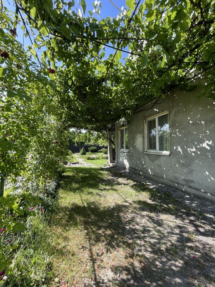 Продаж Дачі СТ «Мрія» Куліші