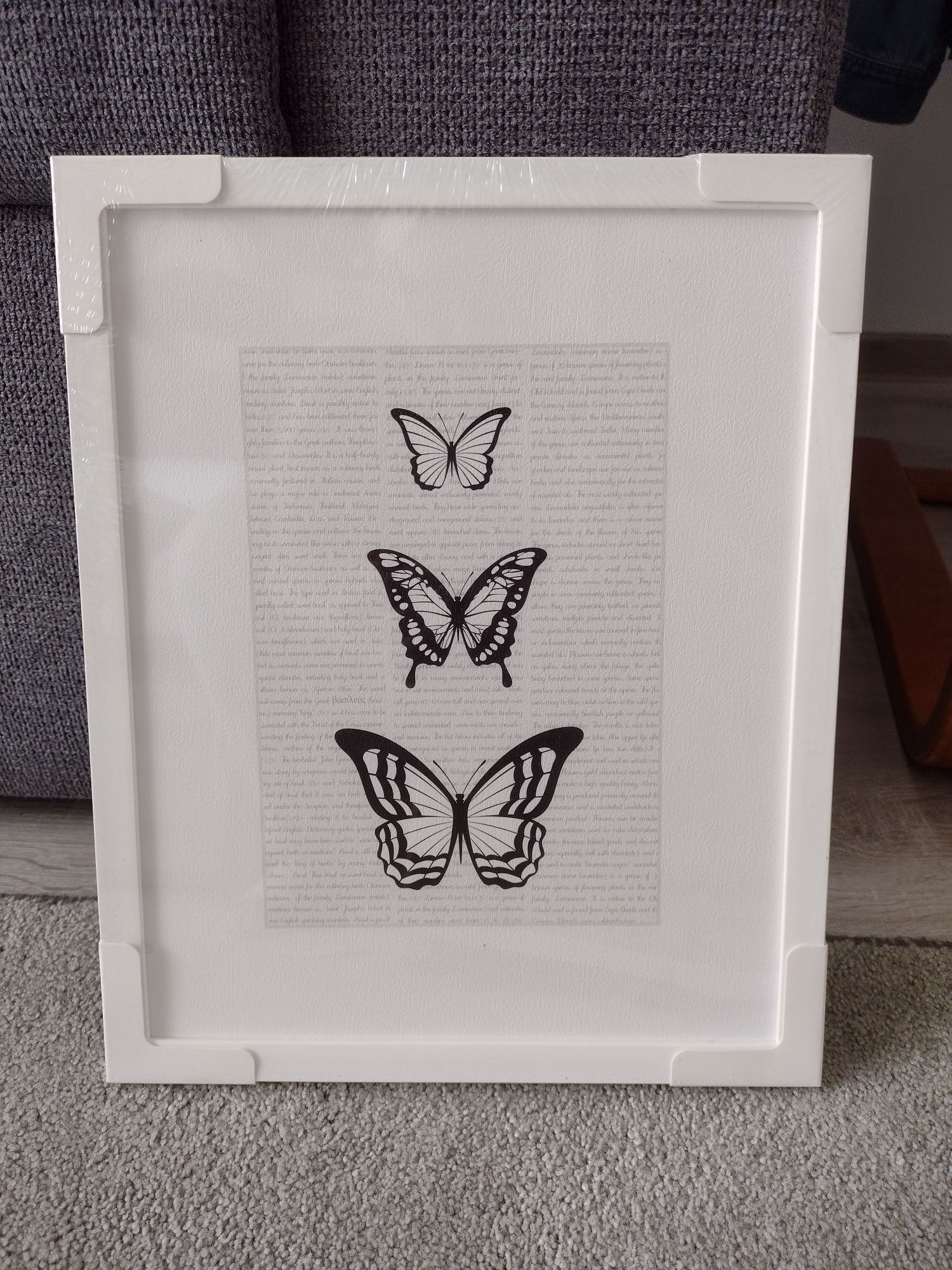 Obrazek z motylami biało czarny, dekoracja na ścianę lub półkę