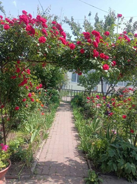 Простора 3-кімнатна квартира з окремим входом та власним двориком.