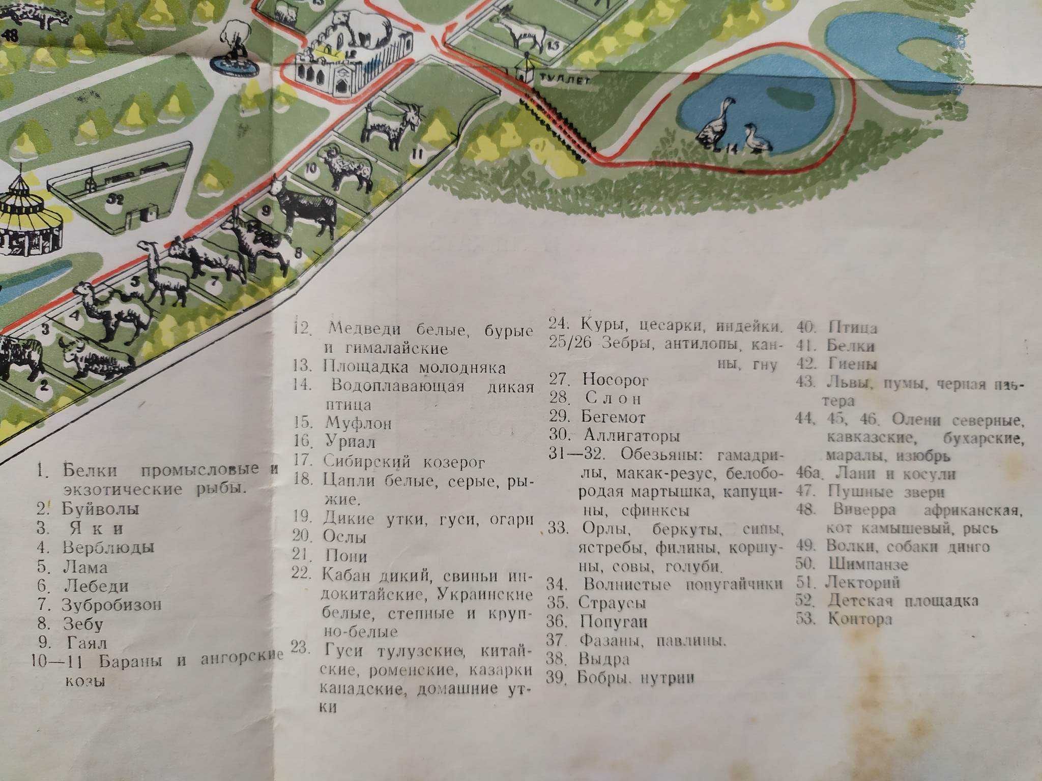 План Киевского зоопарка 1956 год