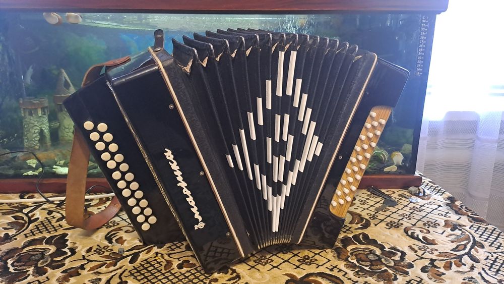 Гармонь кубань. .