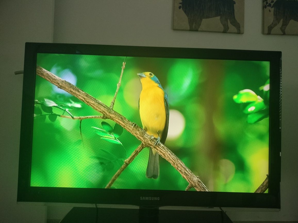 TV Samsung LCD Full HD