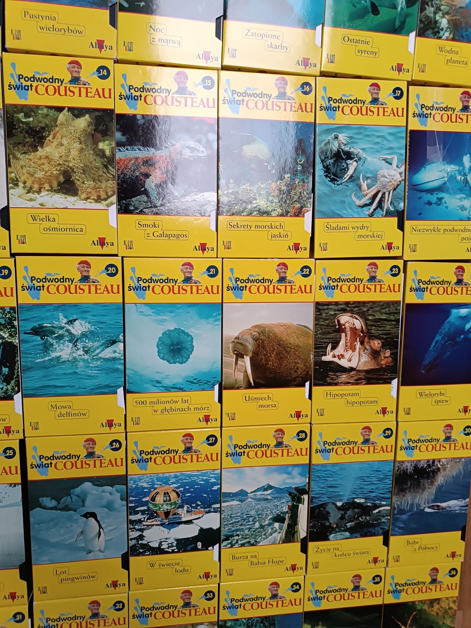 Filmy przyrodnicze Kolekcja Podwodny świat Cousteau 36 szt. Kasety VHS