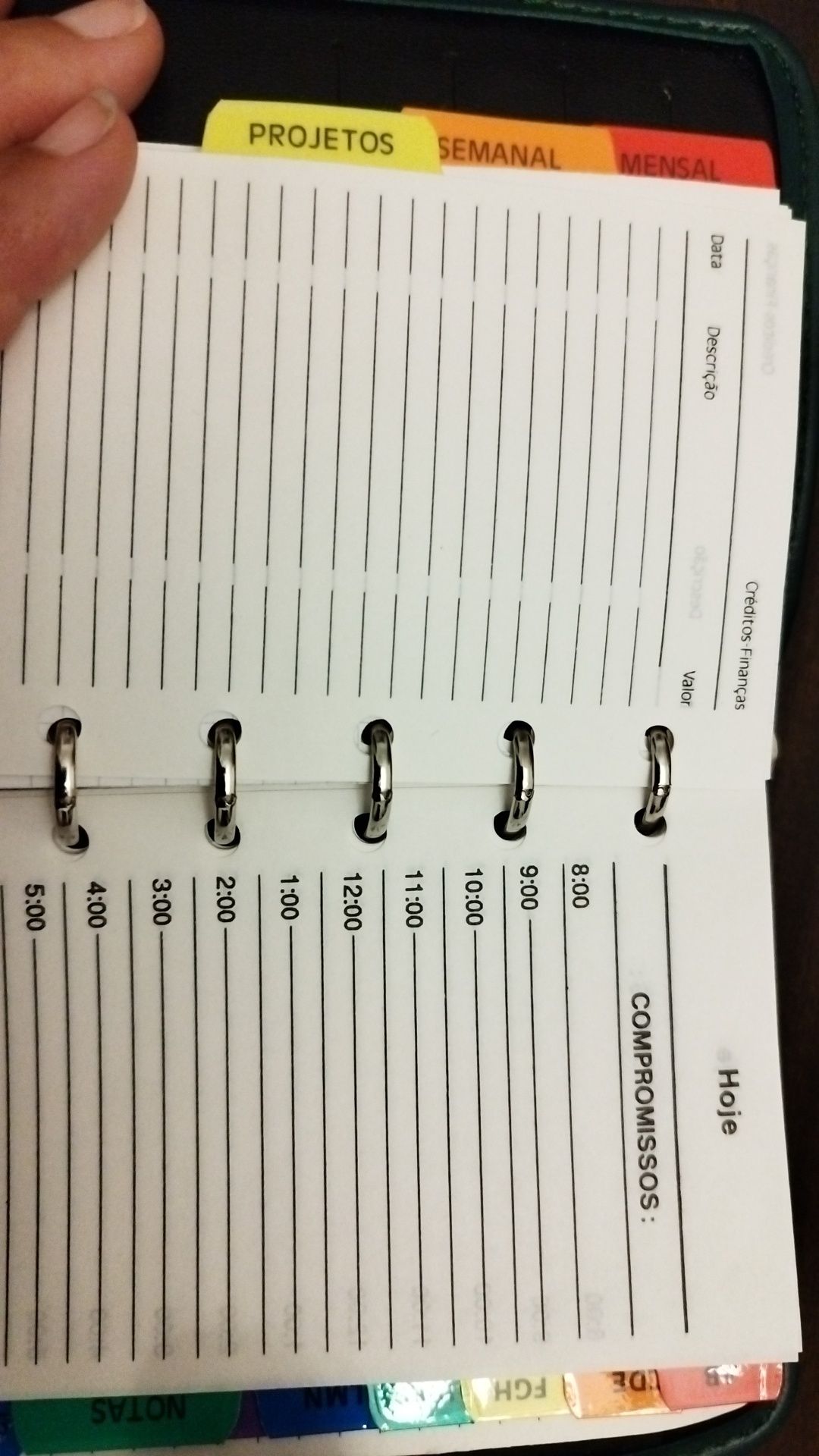 Filofax / agenda /planner sem data