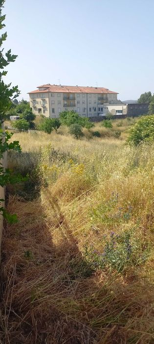 Terreno Urbano Guarda