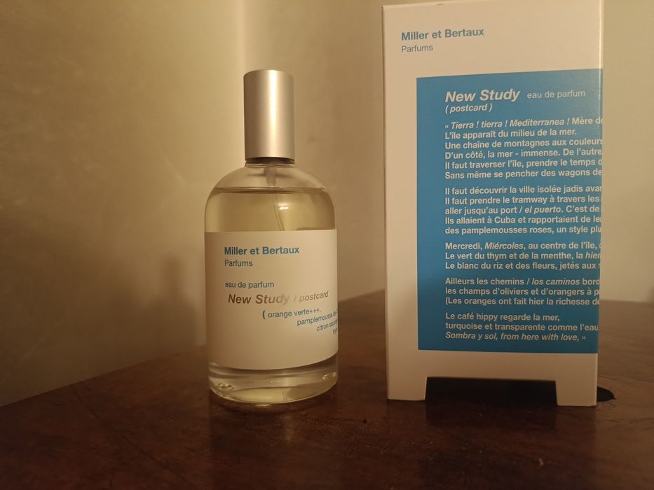 New Study (Postcard) Miller et Bertaux