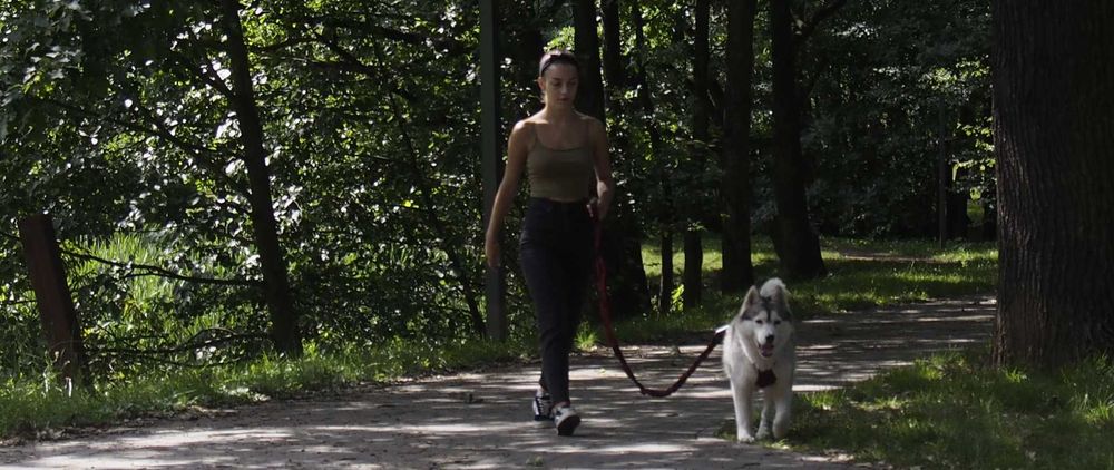 HIFICA Długa Smycz Amortyzowana dla Psa SOFT WALK 2.2 PA 40 + Karab. 8