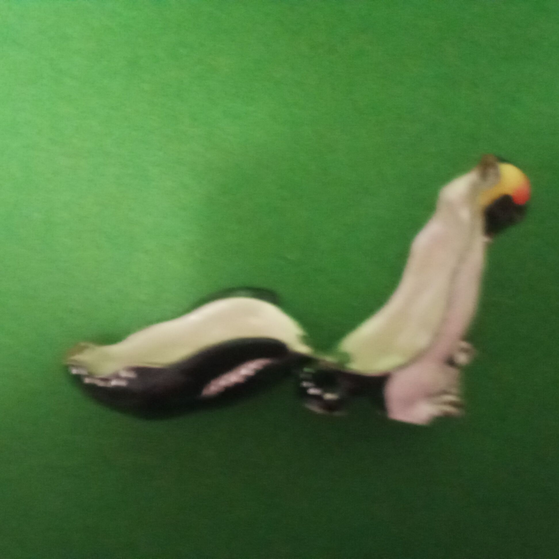 Оригинальная шкатулка пингвин и детёныш+цепочка с пингвинчиком. Европа
