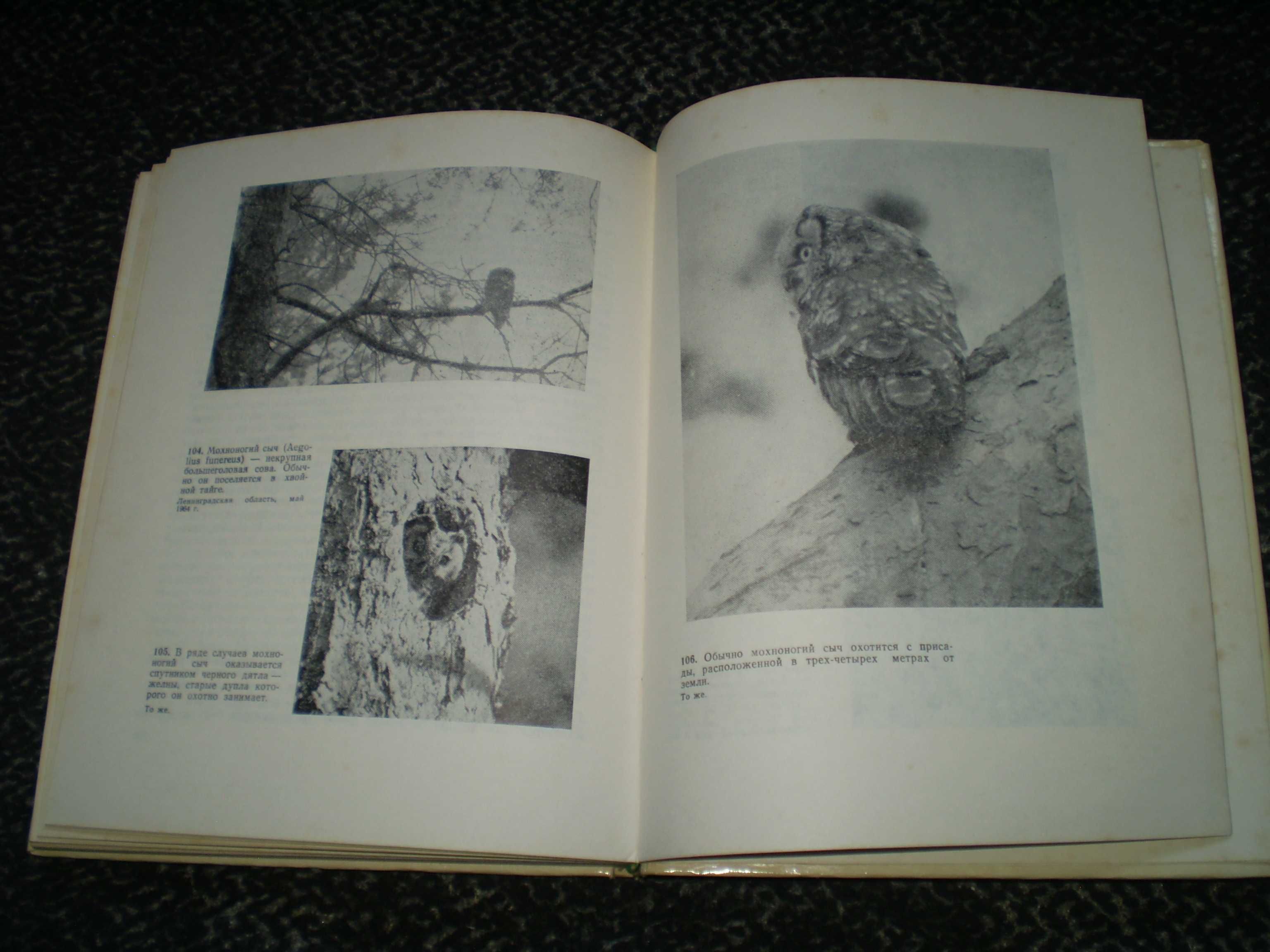 Ю.Пукинский. Жизнь сов. С автографом автора. 1977г.