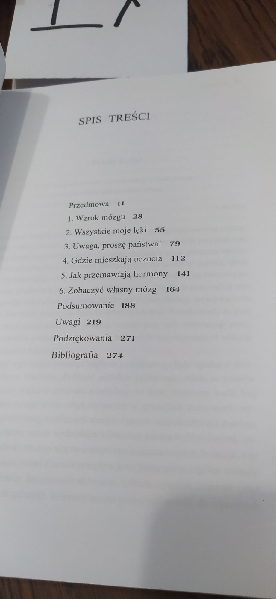 Umysł szeroko otwarty Steven Johnson