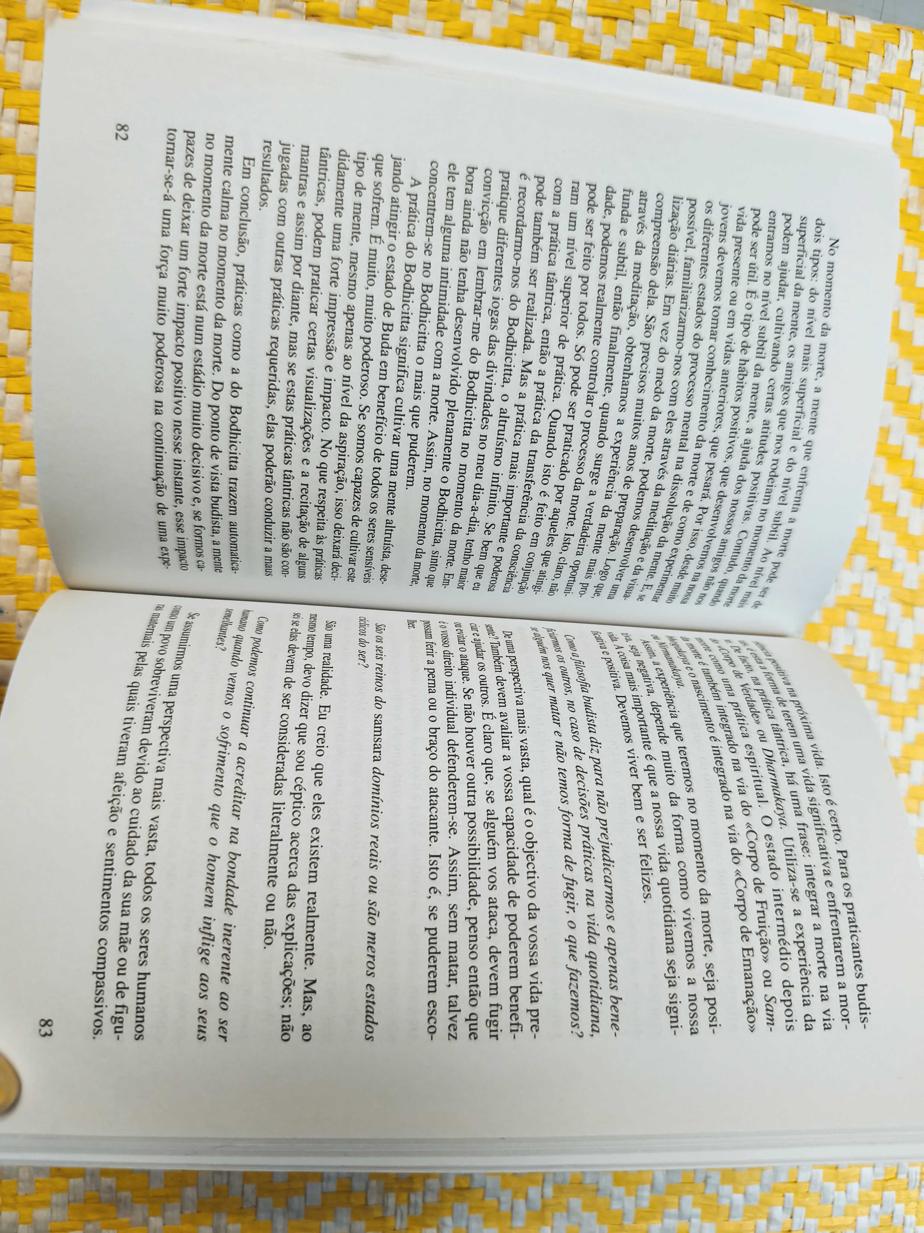 Para uma mente tranquila – 
SS Dalai Lama