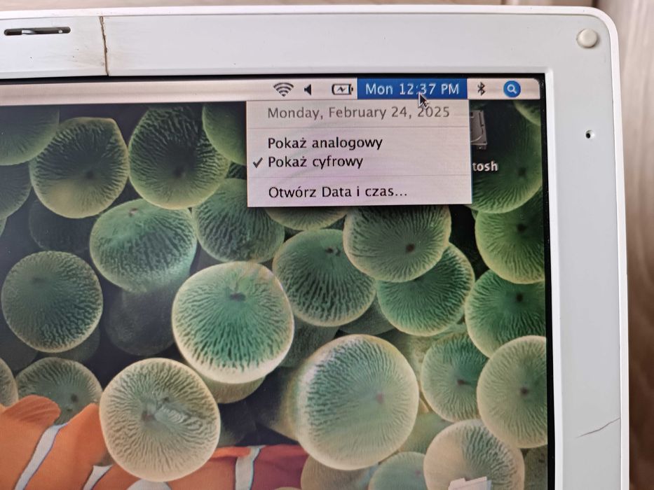 iBook G4 1.33GHz 1GB RAM 60GB HDD MacOS 10.4.11 Ubuntu 10.10
