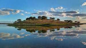 casa girassol  com tranquilidade no Alentejo