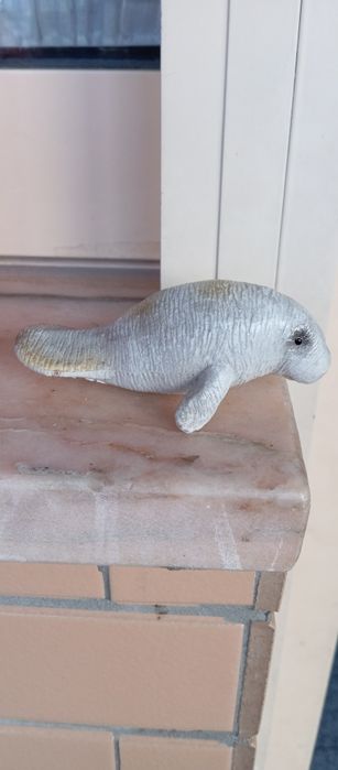 Animal leão marinho 1992