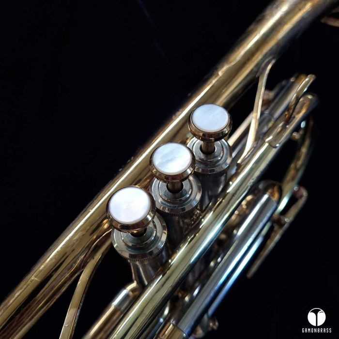 The Martin Committee DELUXE  kornet ustnik futerał gamonbrass