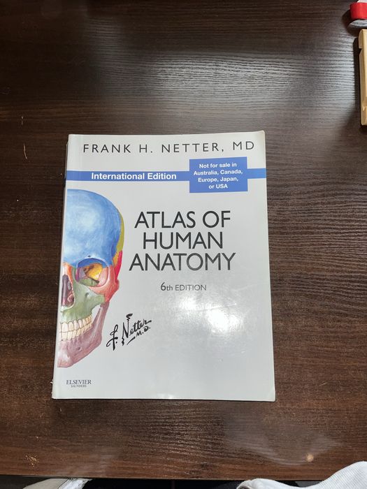 Атлас анатомії людини Неттер 6 видання