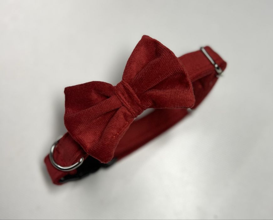 Welurowa obroża z kokardą