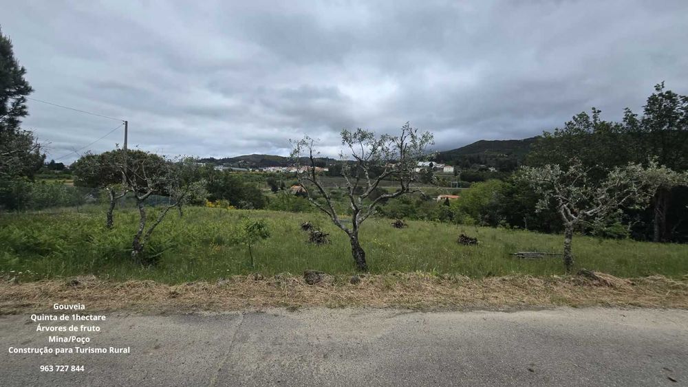 Terreno de 1 hectare EM GOUVEIA para Turismo Rural