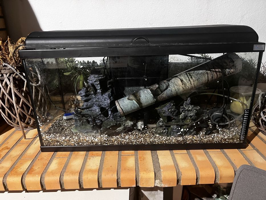 Aquário peixes com 80 cm