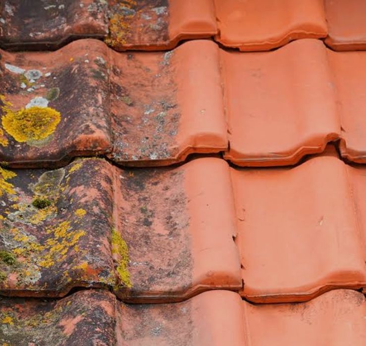 Lavagem e Hidrofugação de Telhados em Lisboa e Região