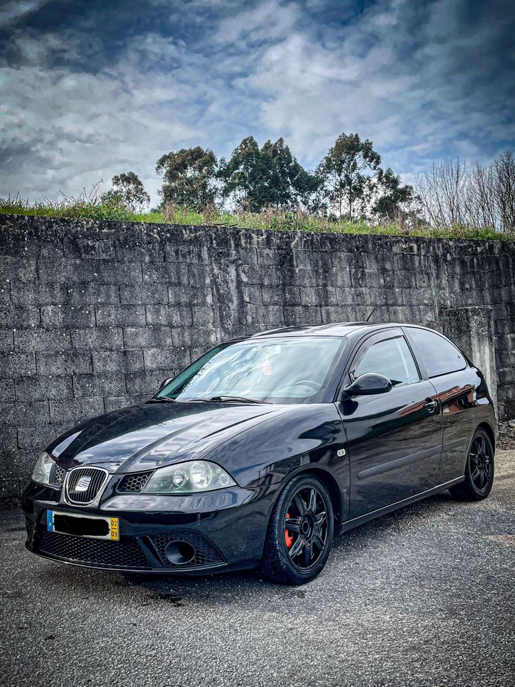 Seat ibiza 6l pd100