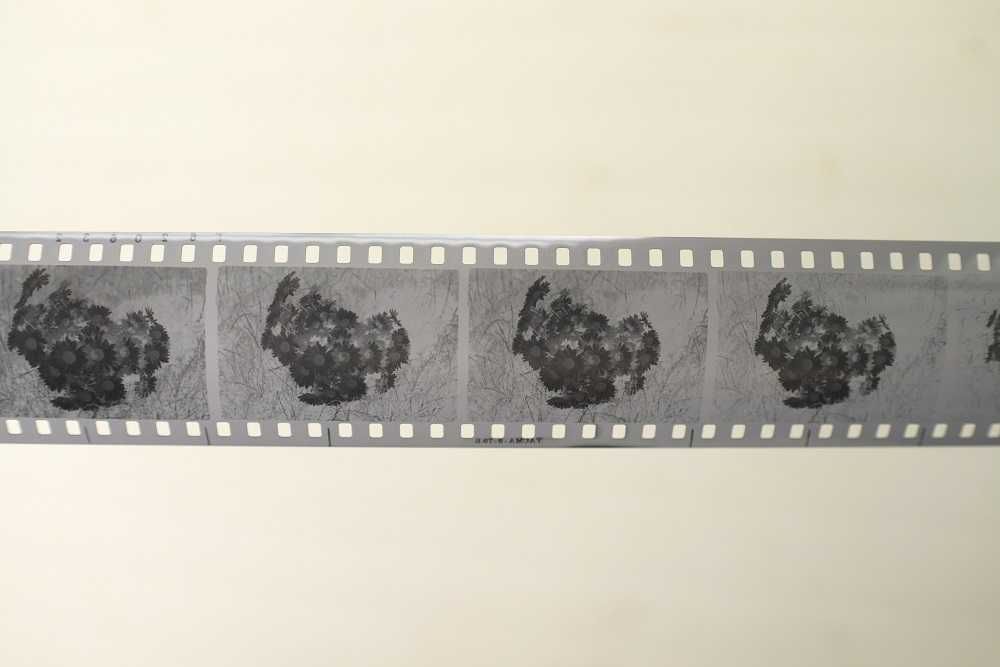Фотоплівка, фотопленка Тасма КН-3