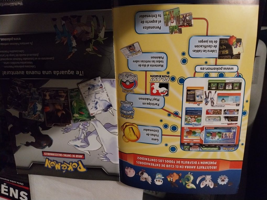Folheto Nintendo Pokemon