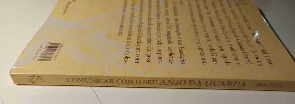 Comunicar com o seu anjo da guarda