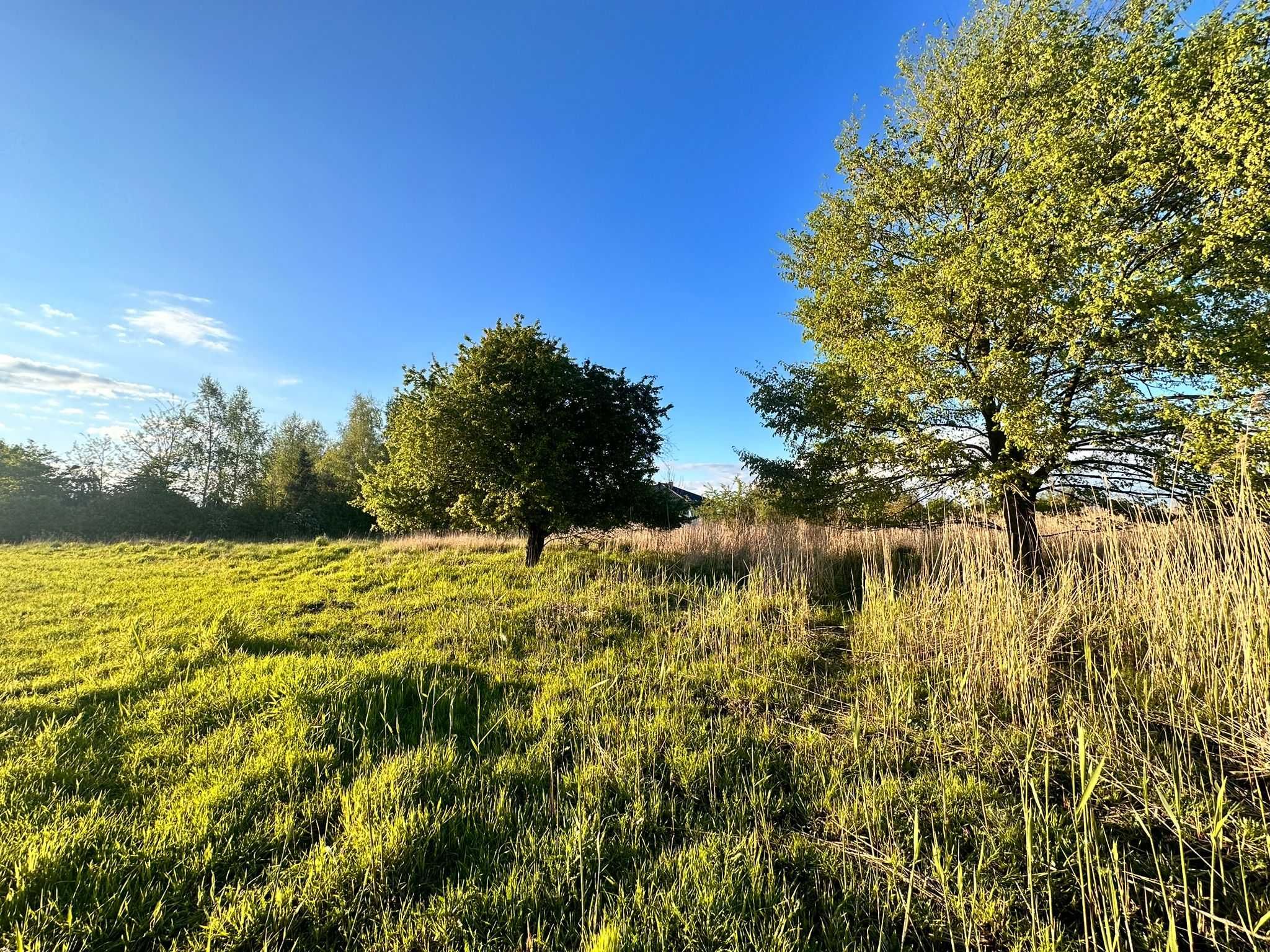 Działka budowlana na sprzedaż