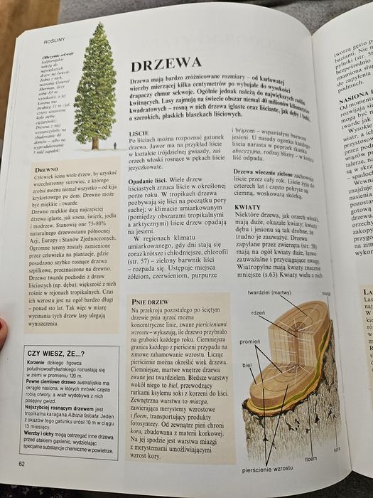 Szkolna encyklopedia Collins