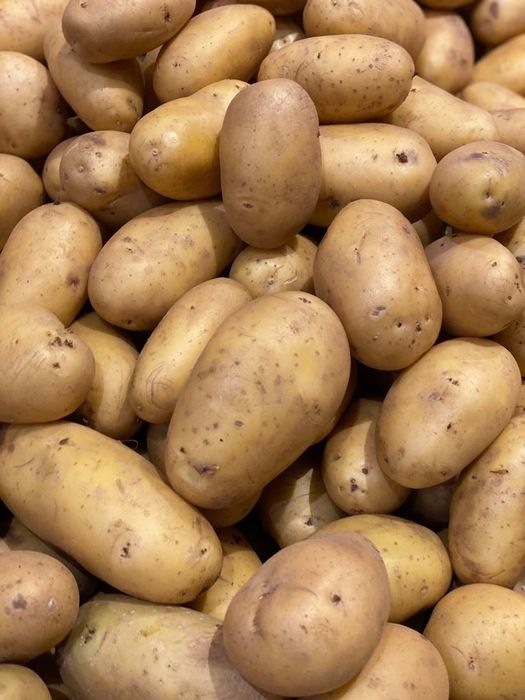 Продаж/Купівля картоплі
