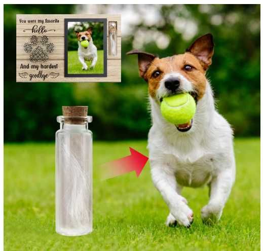 Pamiątkowa Ramka Na Zdjęcia Dla Zwierząt