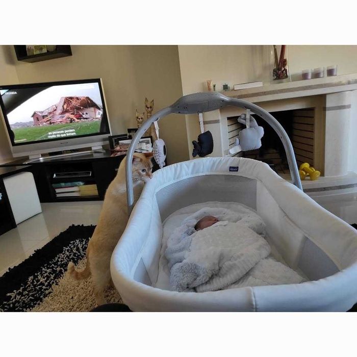 Baby Hug 4 em 1 Berço - Espreguiçadeira - Cadeira