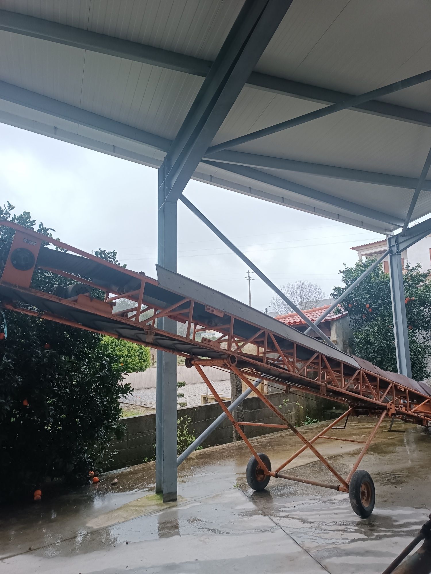 Tapete rolante transportador 8m laranja