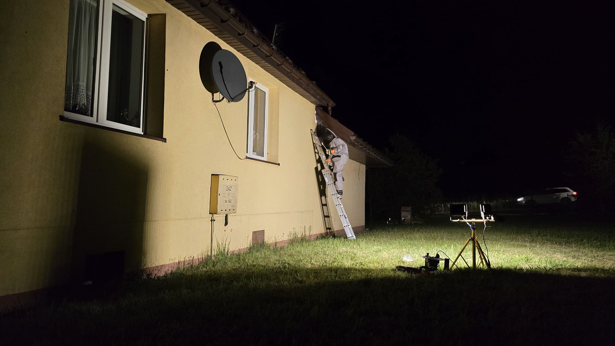 Usuwanie gniazd szerszeni, os, owadów  błonkoskrzydłych, usuwaniemyszy