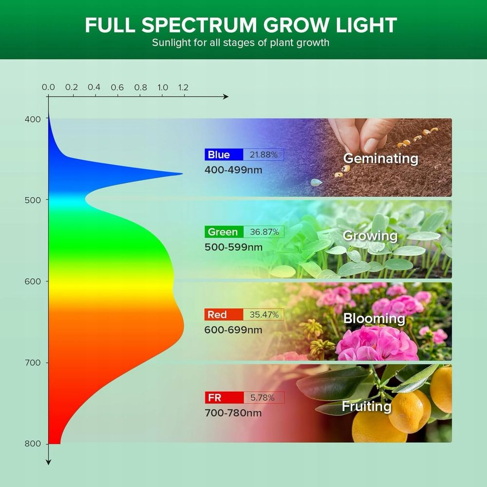 Żarówka GROW do uprawy roślin sansi 36 W E27, 65 umol/s