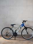 Bicicleta adulto