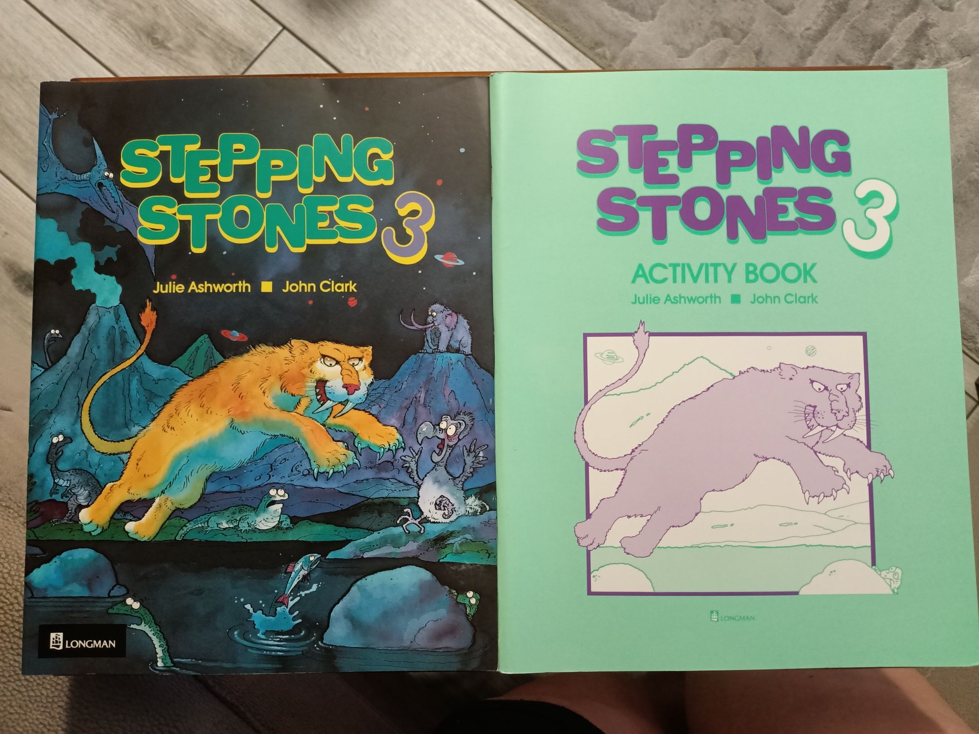 Angielski dla dzieci Stepping Stones 3 podręcznik+ćwiczenia