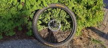 Koło MTB 29" z oponą Continental Argotal + NOWA tarcza hamulcowa