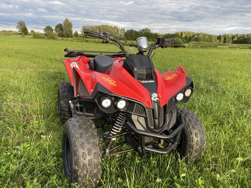 Quad Bombardier 125ccm