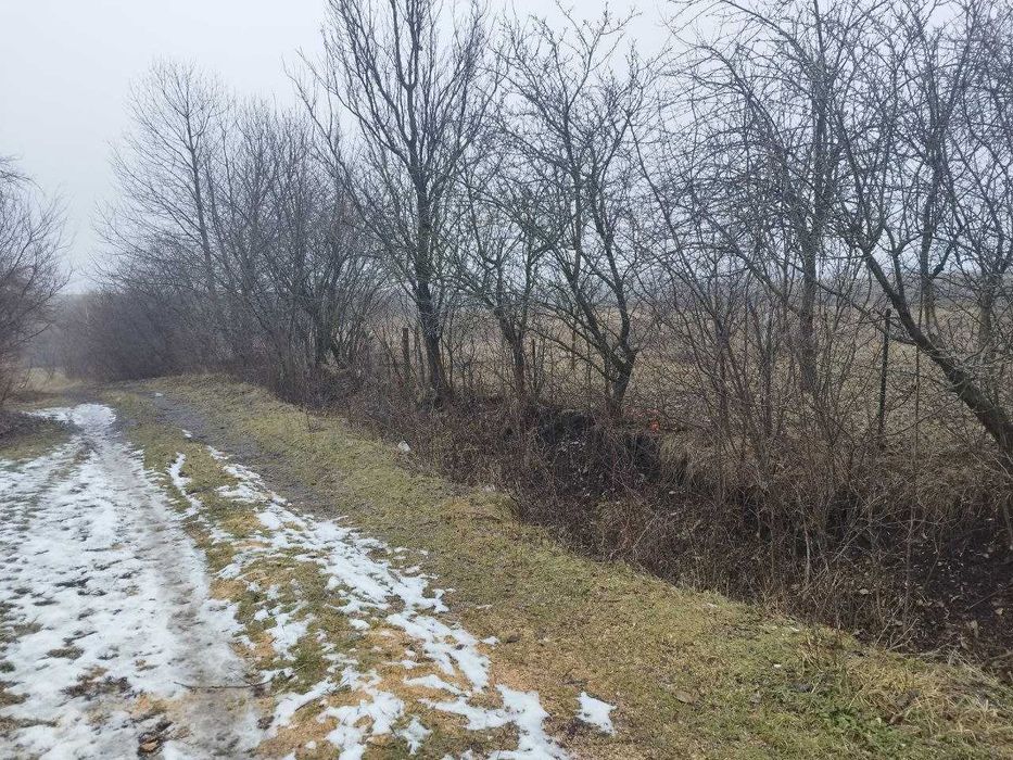 Гараж із земельним участком 25 сот Н