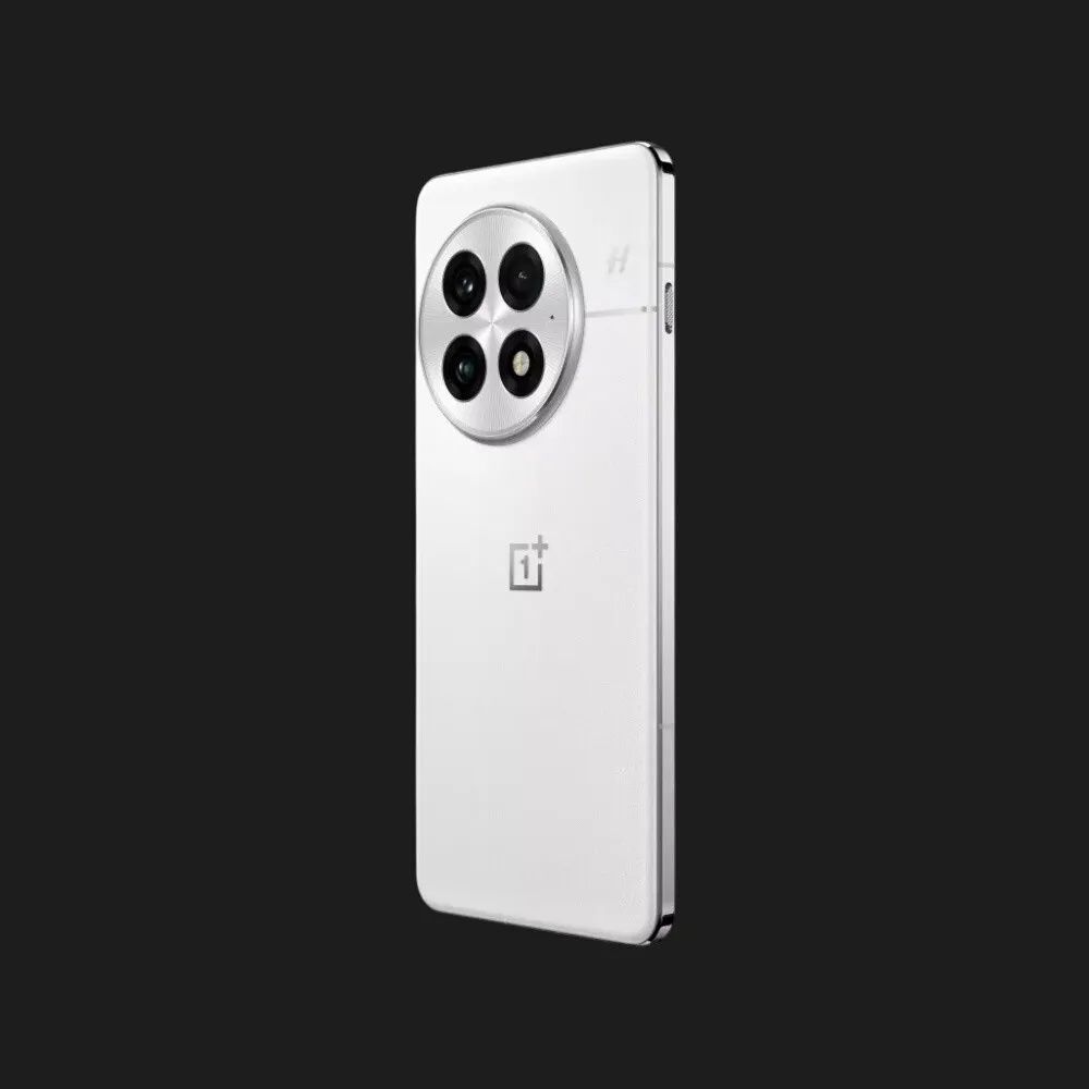 OnePlus 13 16/512GB Arctic Dawn/Global Version)OXYGEN OS