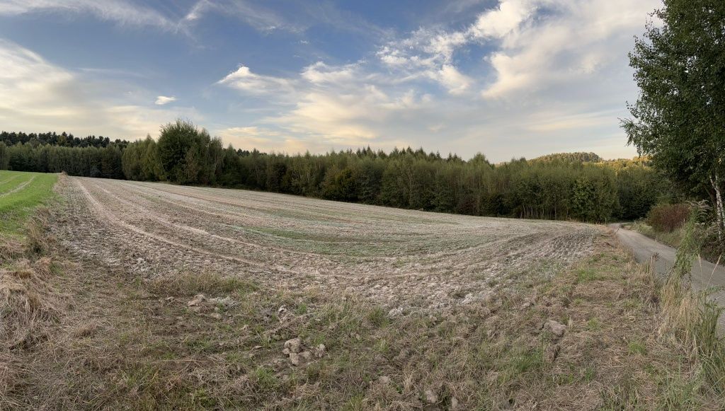 Działka rolna 46a Gmina Wielka Wieś Biały Kościół ul. Iwiny