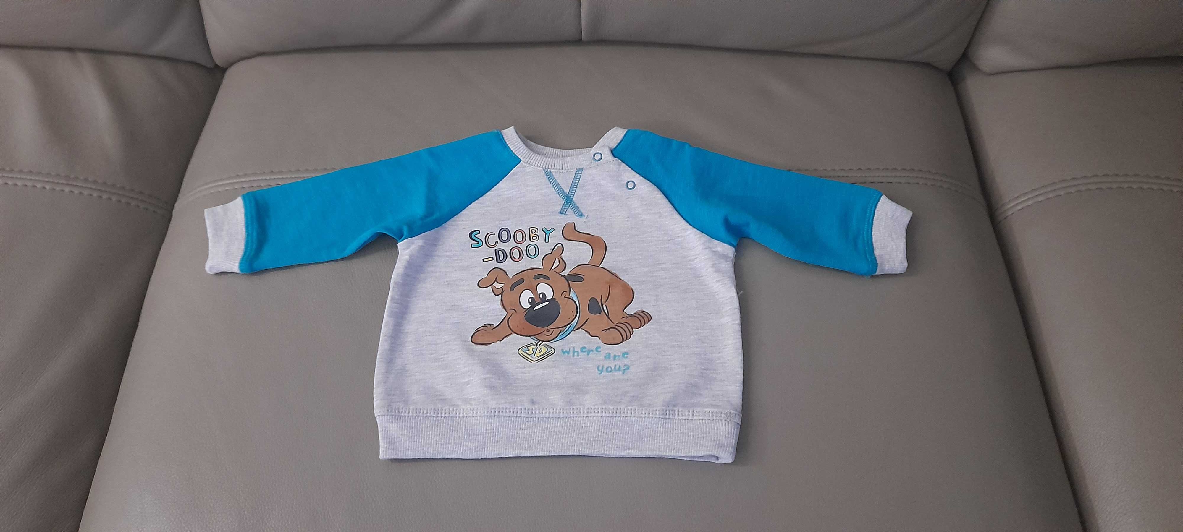 Bluzka bluza dresowa chłopięca Cool Club Smyk rozm. 62 Scooby-Doo